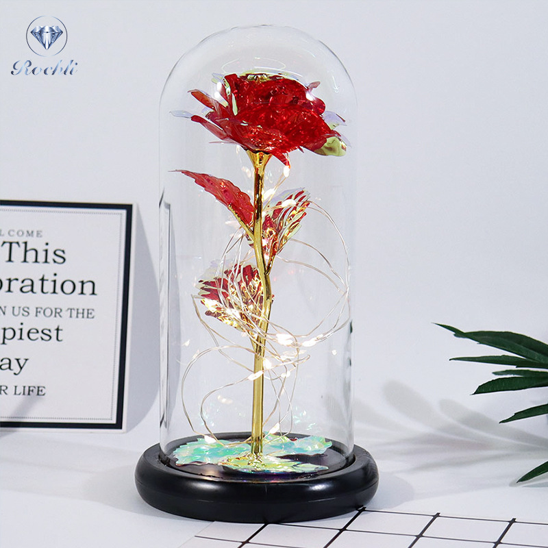 Dayliy Eternal Rose